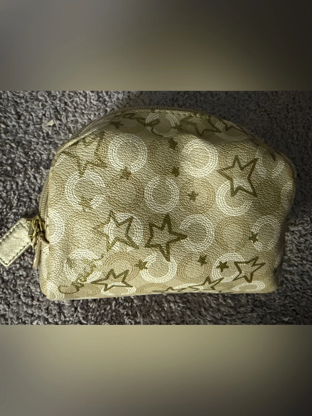Vintage Coach Waverly Snow Queen Small Cosmetic Case (Style F48676)